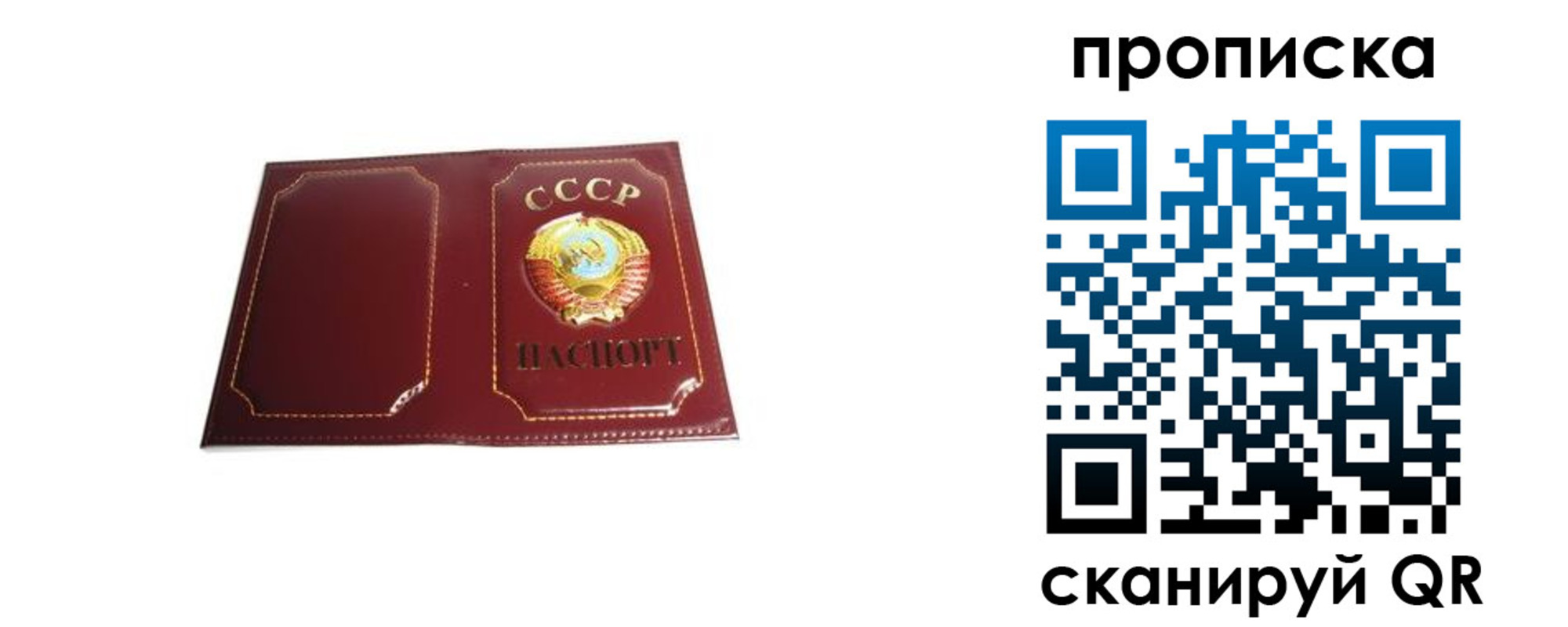 прописка гарантия в Жирновске